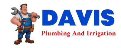 Trusted plumber in SNOW SHOE